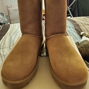 NIB-Uggs Classic Short Boot